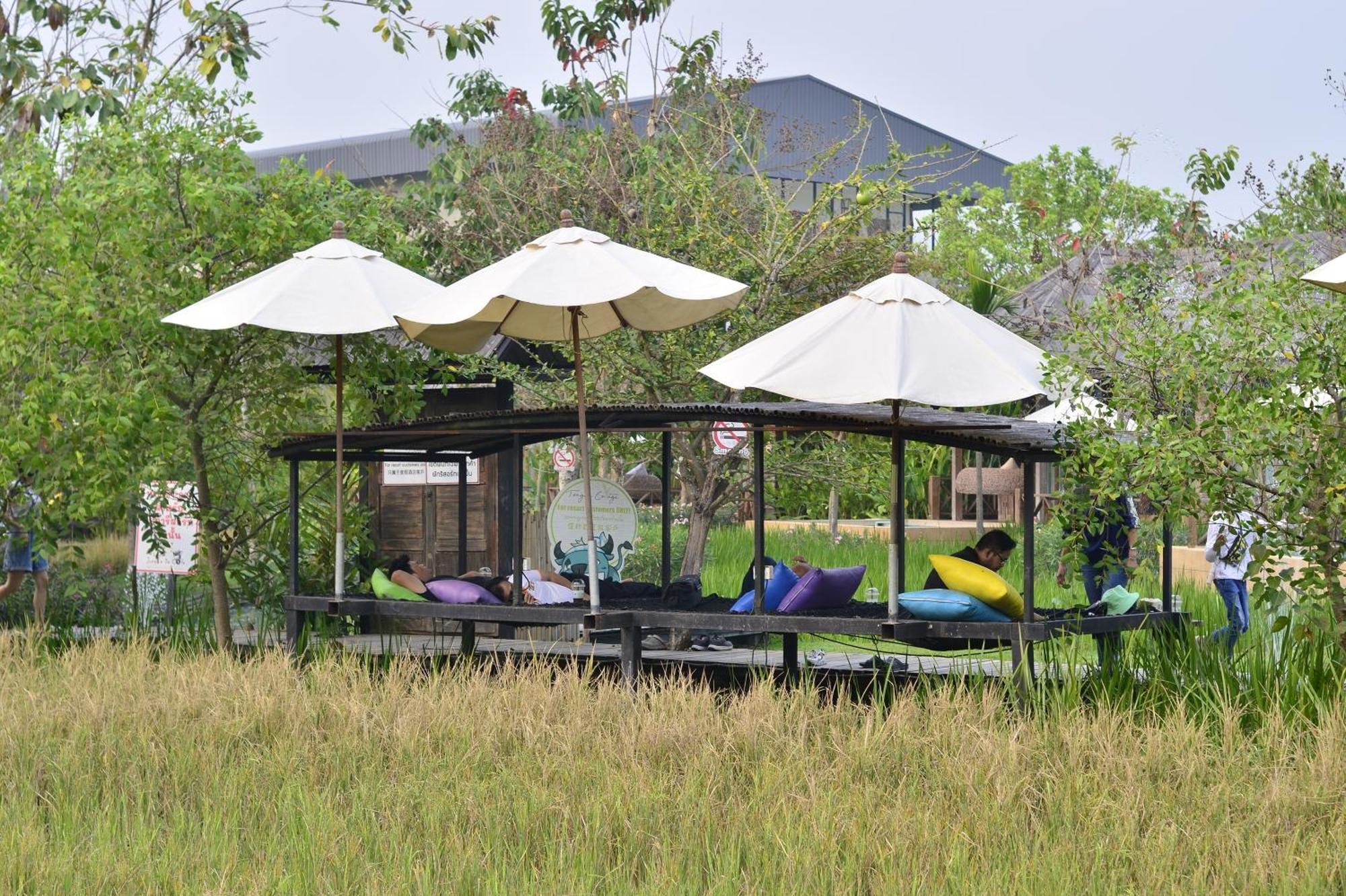 Tongna Cottage Natural Resort Чіангмай Екстер'єр фото